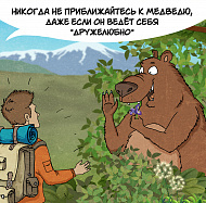 Комикс «Как не поссориться с медведем?»